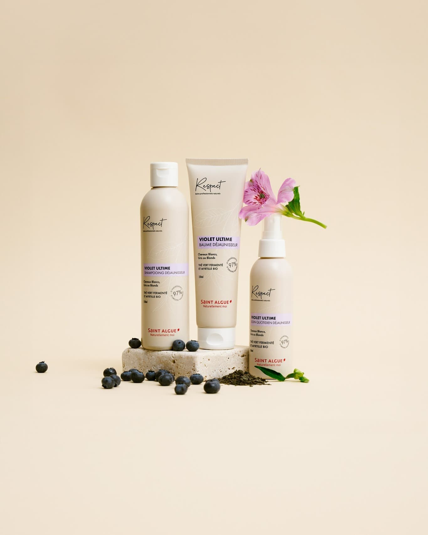 Découvrez notre gamme Respect Violet Ultime 💜

Grâce à sa formule enrichie en myrtille bio et thé vert fermenté, cette gamme déjaunissante permet de neutraliser les reflets indésirables pour tous les cheveux blonds à blancs, naturels ou méchés.

Venez l’essayer dans un de nos salons 👉 lien en bio pour prendre votre RDV