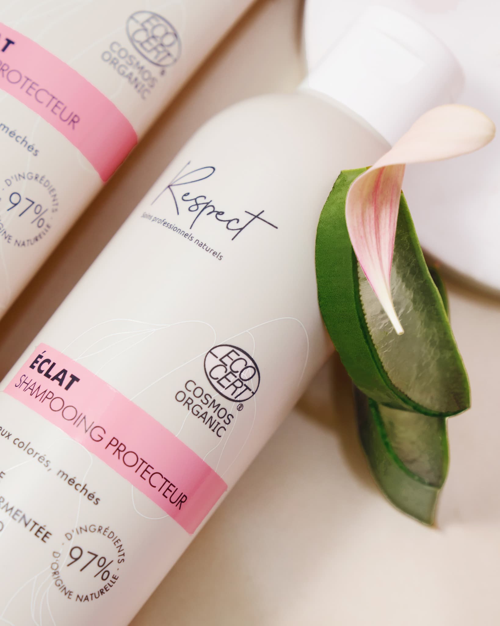 Formulé à partir d’écorce de grenade fermentée et d’aloe vera bio, notre duo shampooing et baume protecteur sera votre allié si vous souhaitez maintenir l’éclat de vos cheveux colorés ou méchés ✨🌷

Disponible dans nos salons