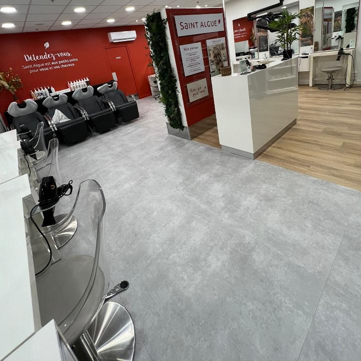 Le salon Saint algue Chalon sur Saone